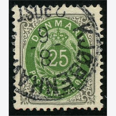 Danmark 1895